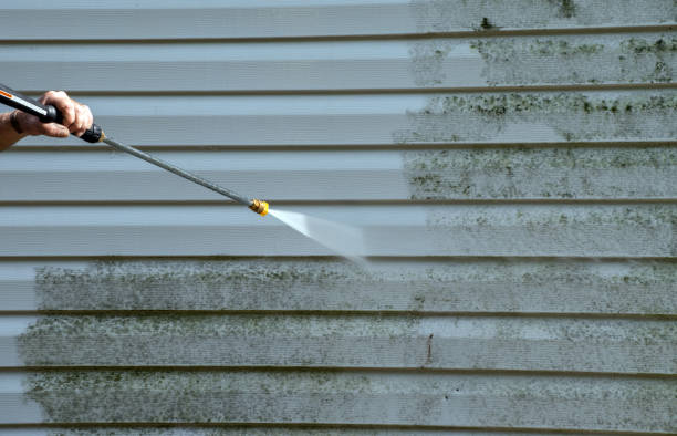 Best Vinyl Siding Pressure Washing in Lorena, TX